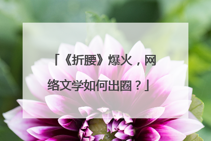 《折腰》爆火，网络文学如何出圈？