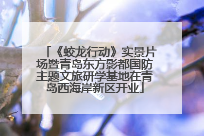 《蛟龙行动》实景片场暨青岛东方影都国防主题文旅研学基地在青岛西海岸新区开业