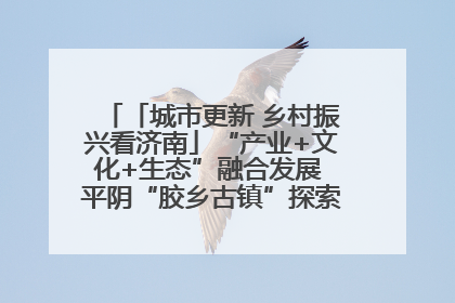 「城市更新 乡村振兴看济南」“产业+文化+生态”融合发展 平阴“胶乡古镇”探索振兴路径成效显著