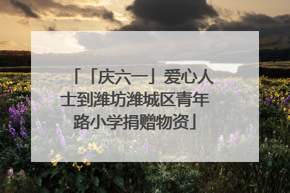 「庆六一」爱心人士到潍坊潍城区青年路小学捐赠物资