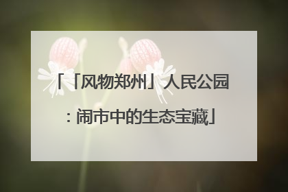 「风物郑州」人民公园：闹市中的生态宝藏