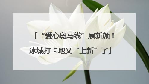 “爱心斑马线”展新颜！冰城打卡地又“上新”了