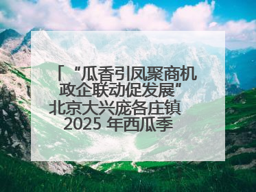 “瓜香引凤聚商机 政企联动促发展”北京大兴庞各庄镇 2025 年西瓜季政企联动产业推介活动圆满举行