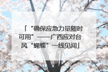 “确保应急力量随时可用”——广西应对台风“蝴蝶”一线见闻