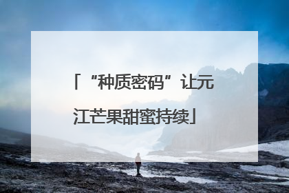 “种质密码”让元江芒果甜蜜持续