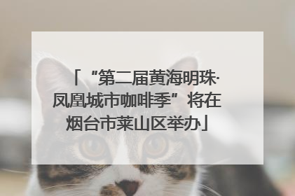 “第二届黄海明珠·凤凰城市咖啡季”将在烟台市莱山区举办