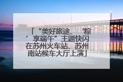 “美好旅途、‘粽’享端午”主题快闪在苏州火车站、苏州南站候车大厅上演