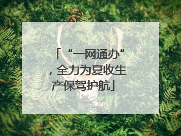 “一网通办”，全力为夏收生产保驾护航
