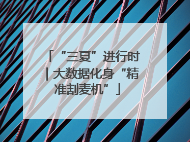 “三夏”进行时｜大数据化身“精准割麦机”