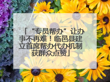“专员帮办”让办事不再难！临邑县建立首席帮办代办机制获群众点赞