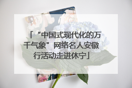 “中国式现代化的万千气象”网络名人安徽行活动走进休宁