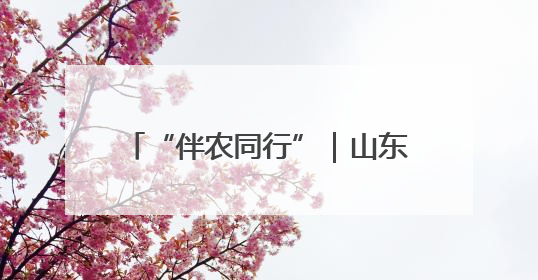 “伴农同行”｜山东农担公司助力菏泽巨野蛋鸡产业高质量发展