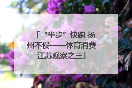 “半步”快跑 扬州不慢——体育消费江苏观察之三