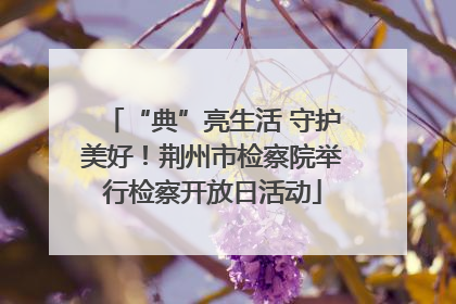 “典”亮生活 守护美好！荆州市检察院举行检察开放日活动