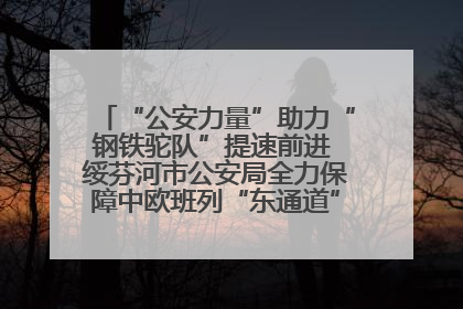 “公安力量”助力“钢铁驼队”提速前进 绥芬河市公安局全力保障中欧班列“东通道”绥芬河隧道贯通
