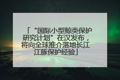 “国际小型鲸类保护研究计划”在汉发布，将向全球推介落地长江江豚保护经验