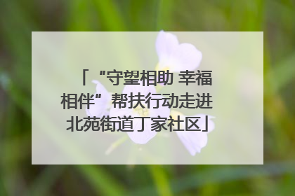“守望相助 幸福相伴”帮扶行动走进北苑街道丁家社区
