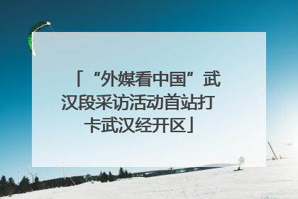 “外媒看中国”武汉段采访活动首站打卡武汉经开区