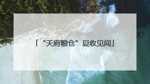 “天府粮仓”夏收见闻