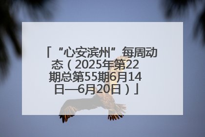 “心安滨州”每周动态（2025年第22期总第55期6月14日—6月20日）