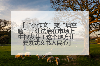 “小作文”变“填空题”，让法治在市场上生根发芽！这个地方让要素式文书入民心