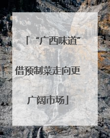 “广西味道”借预制菜走向更广阔市场