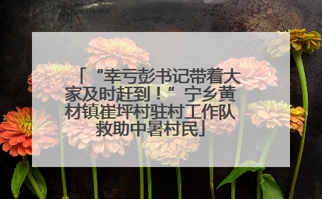 “幸亏彭书记带着大家及时赶到！”宁乡黄材镇崔坪村驻村工作队救助中暑村民