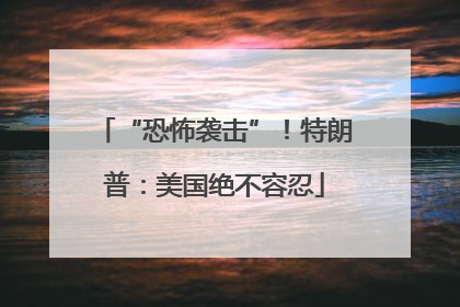“恐怖袭击”！特朗普：美国绝不容忍