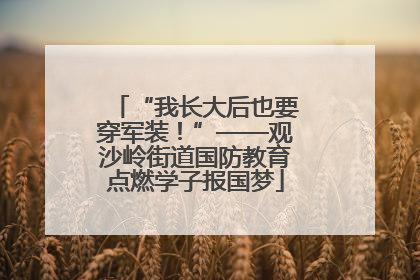 “我长大后也要穿军装！”——观沙岭街道国防教育点燃学子报国梦