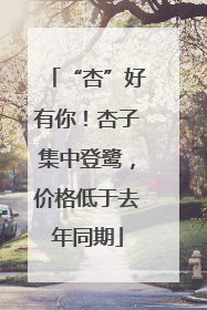 “杏”好有你！杏子集中登鹭，价格低于去年同期