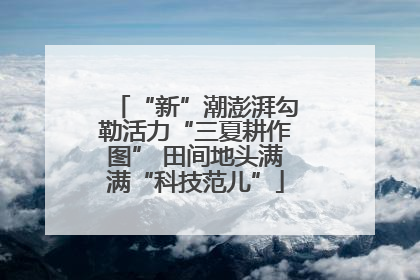 “新”潮澎湃勾勒活力“三夏耕作图” 田间地头满满“科技范儿”