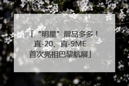 “明星”展品多多！直-20、直-9ME首次亮相巴黎航展