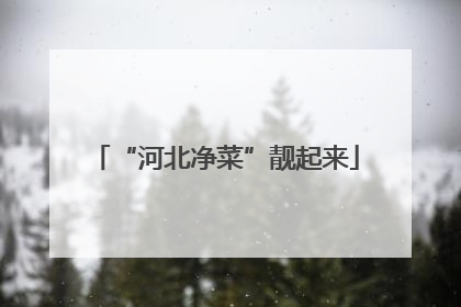 “河北净菜”靓起来