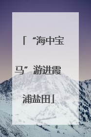 “海中宝马”游进霞浦盐田