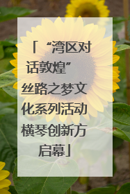 “湾区对话敦煌” 丝路之梦文化系列活动横琴创新方启幕