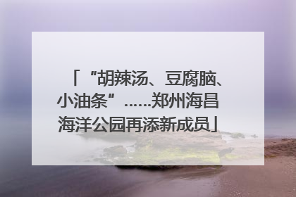 “胡辣汤、豆腐脑、小油条”……郑州海昌海洋公园再添新成员