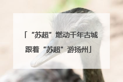 “苏超”燃动千年古城 跟着“苏超”游扬州
