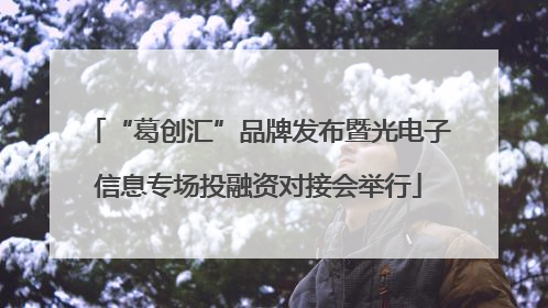 “葛创汇”品牌发布暨光电子信息专场投融资对接会举行