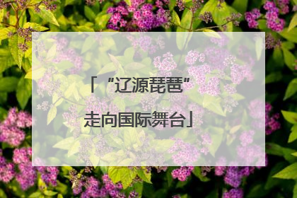 “辽源琵琶” 走向国际舞台