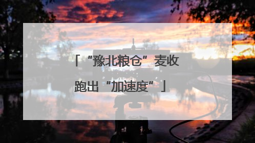 “豫北粮仓”麦收跑出“加速度”