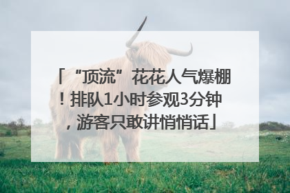 “顶流”花花人气爆棚！排队1小时参观3分钟，游客只敢讲悄悄话
