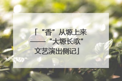 “香”从塬上来——“大塬长歌”文艺演出侧记