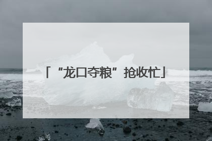 “龙口夺粮”抢收忙