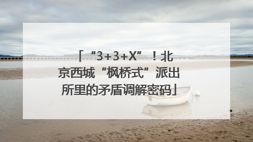 “3+3+X”！北京西城“枫桥式”派出所里的矛盾调解密码