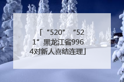 “520”“521”黑龙江省9964对新人喜结连理