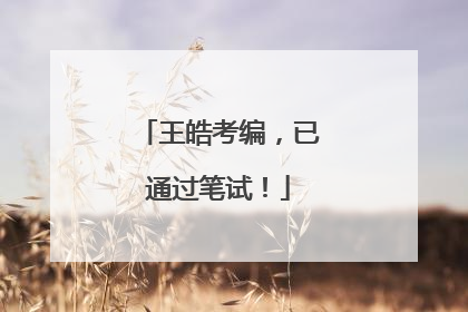 王皓考编，已通过笔试！