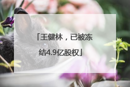 王健林，已被冻结4.9亿股权