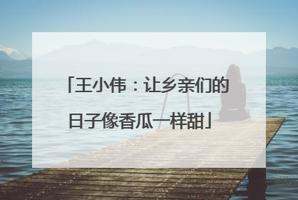 王小伟：让乡亲们的日子像香瓜一样甜