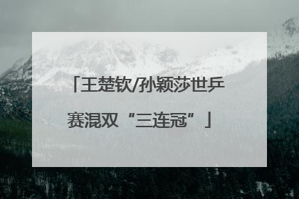 王楚钦/孙颖莎世乒赛混双“三连冠”