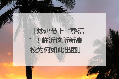 炒鸡节上“整活”！临沂这所新高校为何如此出圈